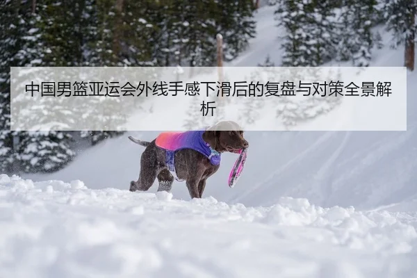 中国男篮亚运会外线手感下滑后的复盘与对策全景解析